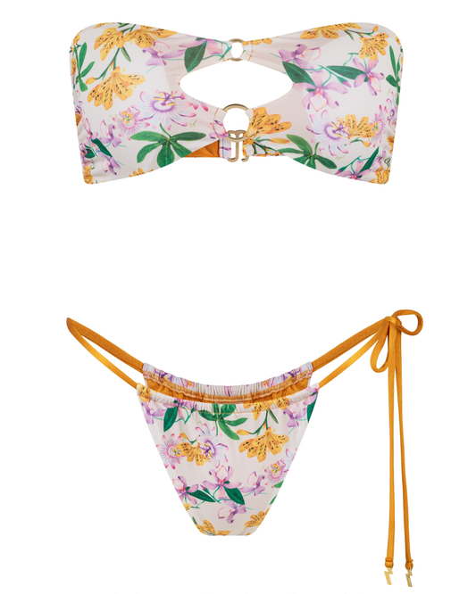 Set Bloom - Tropical Garden