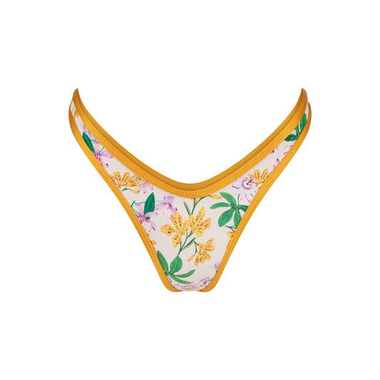 BRUNA Bottom — Tropical Garden